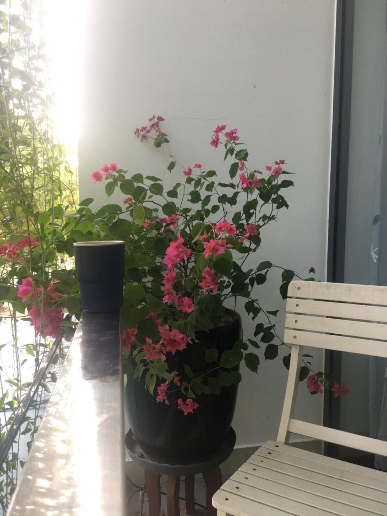 La Gai Homestay Χόι Αν Εξωτερικό φωτογραφία